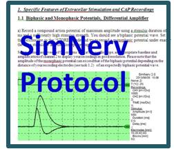 simnervprotocal